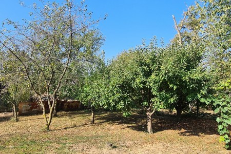 Gat, građevinsko zemljište, 1265 m2